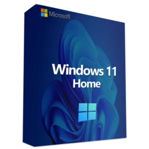 Microsoft Windows 11 (1 PC, Perpetual, OEM Home)