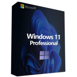 Microsoft Windows 11 (1 PC, Perpetual, OEM Pro)