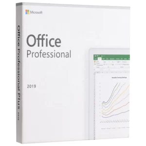 Microsoft Office 2019 (1 PC, Perpetual, Professional)